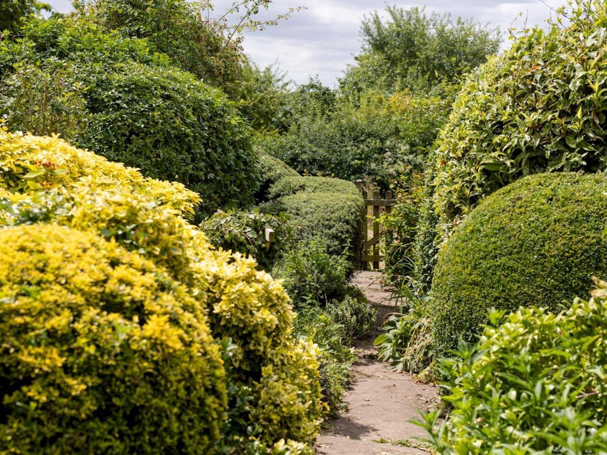 Pass The Keys Cosy Cottage With Views Over The Shropshire Hills Ludlow Bagian luar foto
